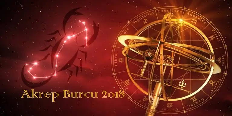 akrep-burcu-2018-yorumu.webp