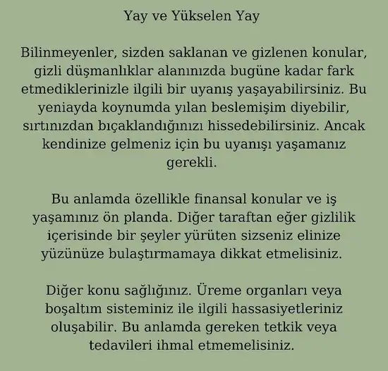 akrep yeniayı1 (10).webp