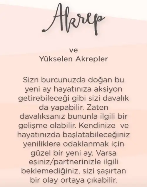 akrep1 (10).webp