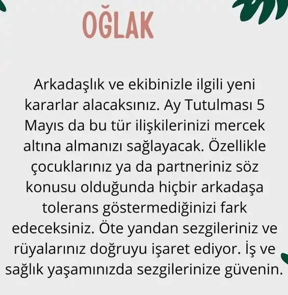 akrep1 (11).webp