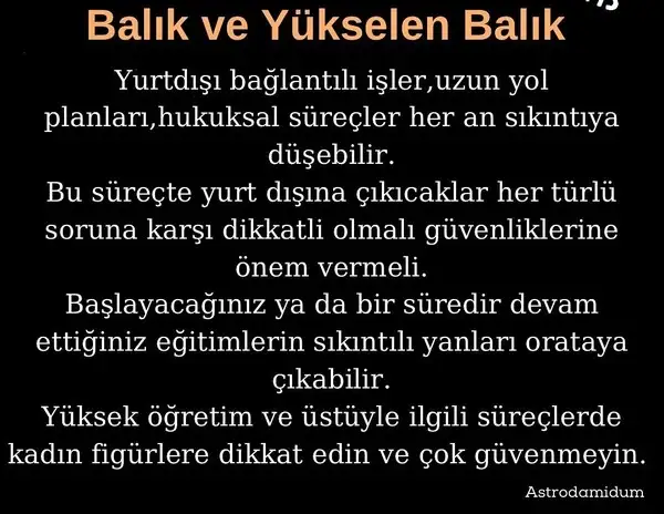 akrep1 (12).webp