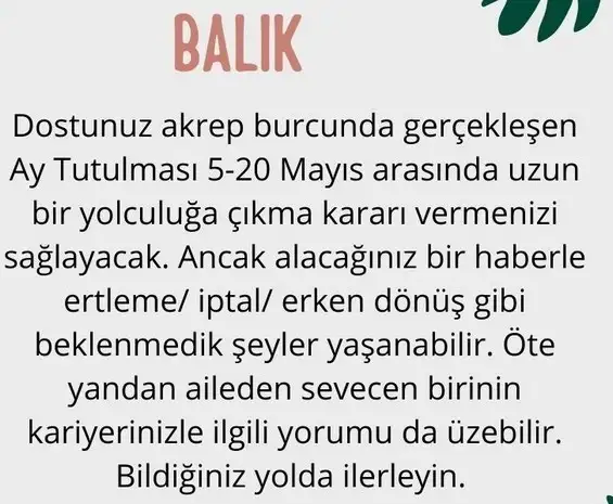 akrep1 (13).webp