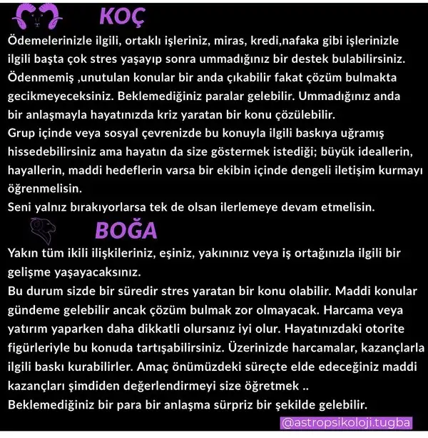 akrep1 (2).webp