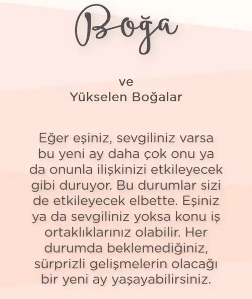 akrep1 (4).webp