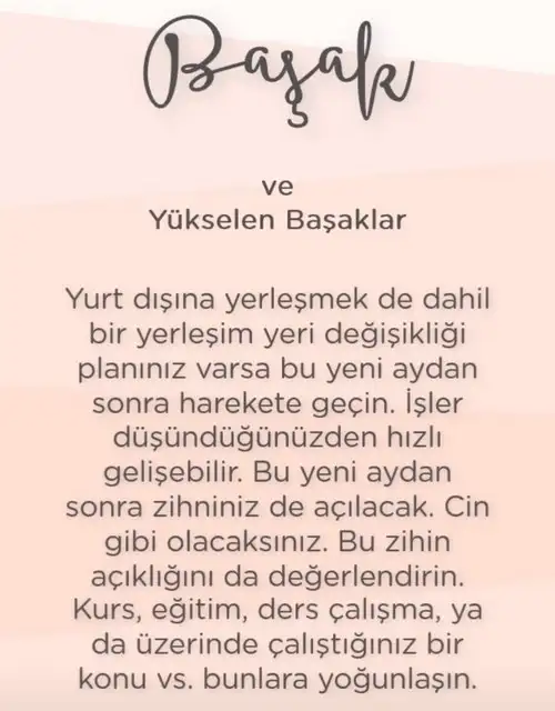 akrep1 (8).webp