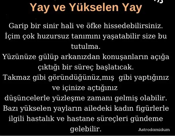 akrep1 (9).webp