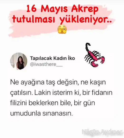 akrep1.webp