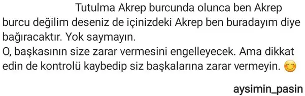 akrep1.webp