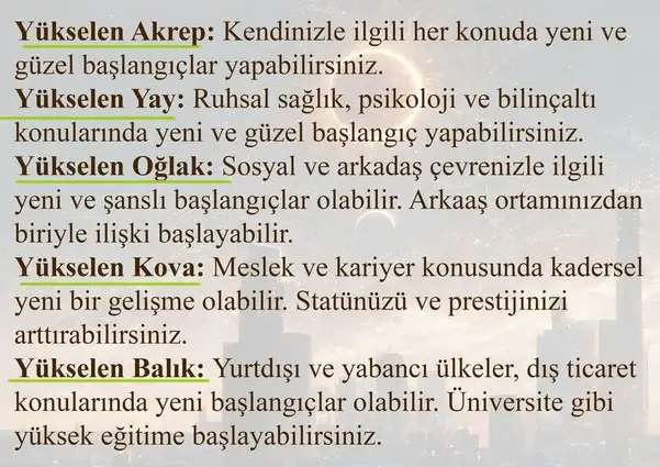 akrep10 (6).webp