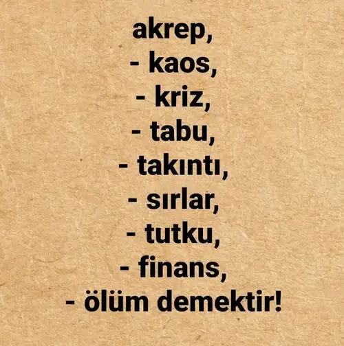 akrep11 (4).webp