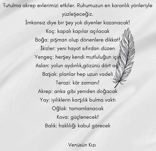 akrep11.webp