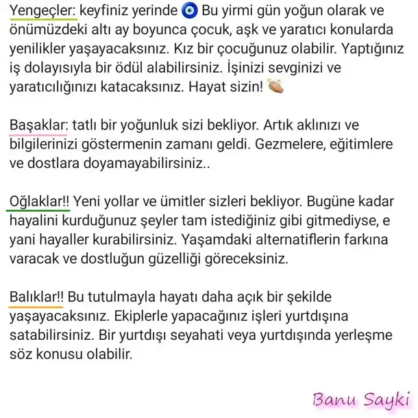 akrep12 (2).webp