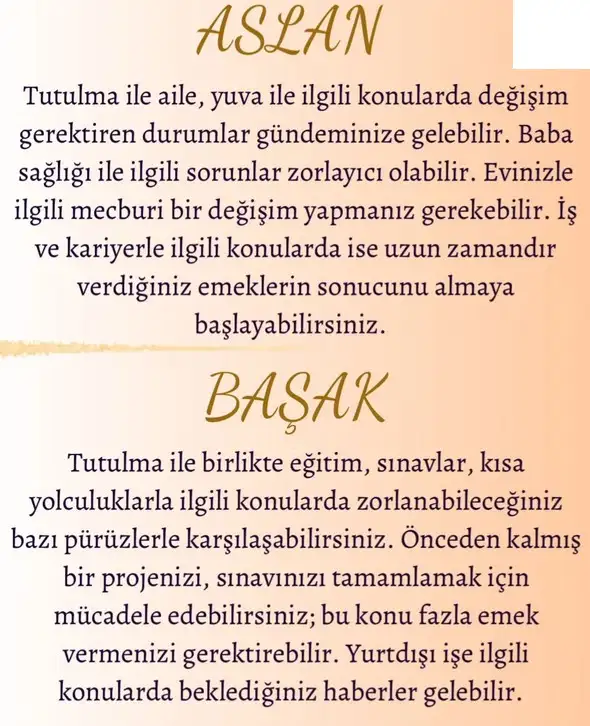 akrep12 (4).webp