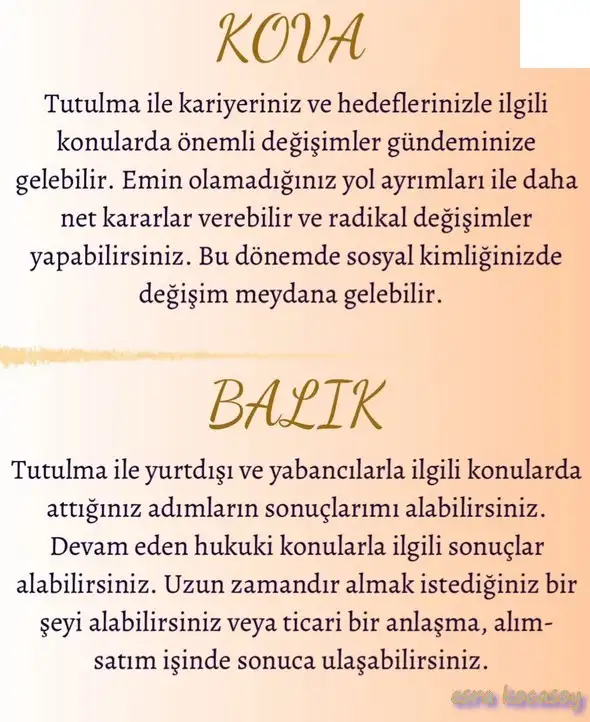 akrep12 (7).webp