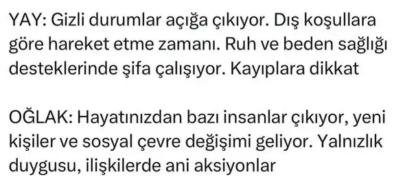 akrep13 (6).webp