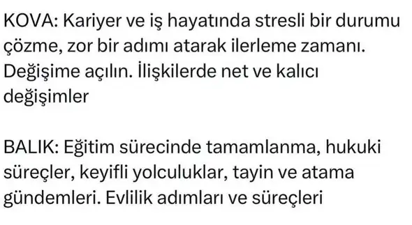 akrep13 (7).webp