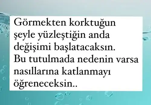 akrep14 (2).webp