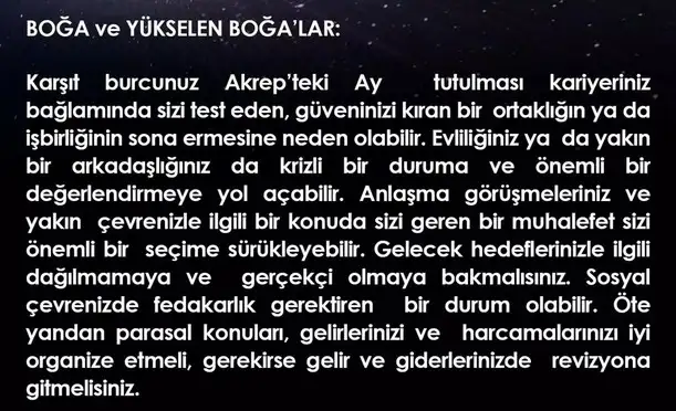 akrep14 (3).webp