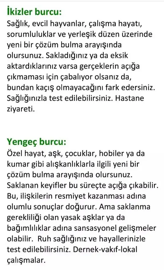 akrep15 (3).webp