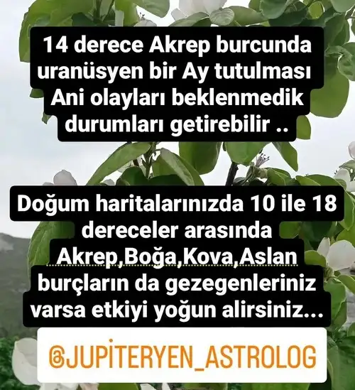 akrep15.webp