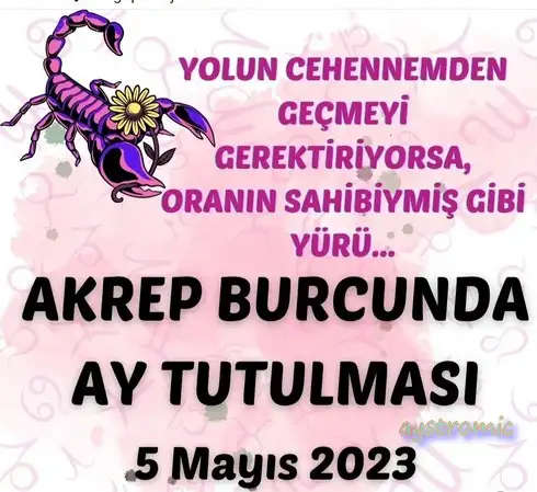 akrep16 (1).webp