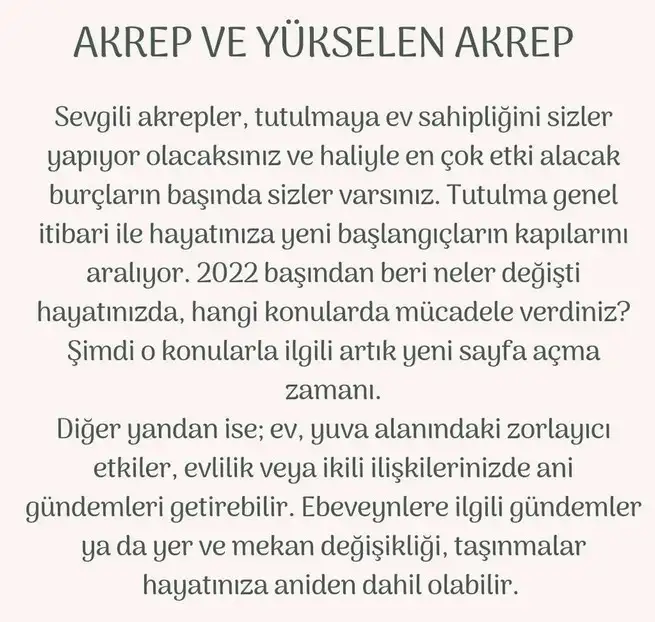 akrep16 (10).webp
