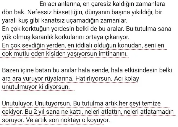 akrep17 (2) - Kopya.jpg