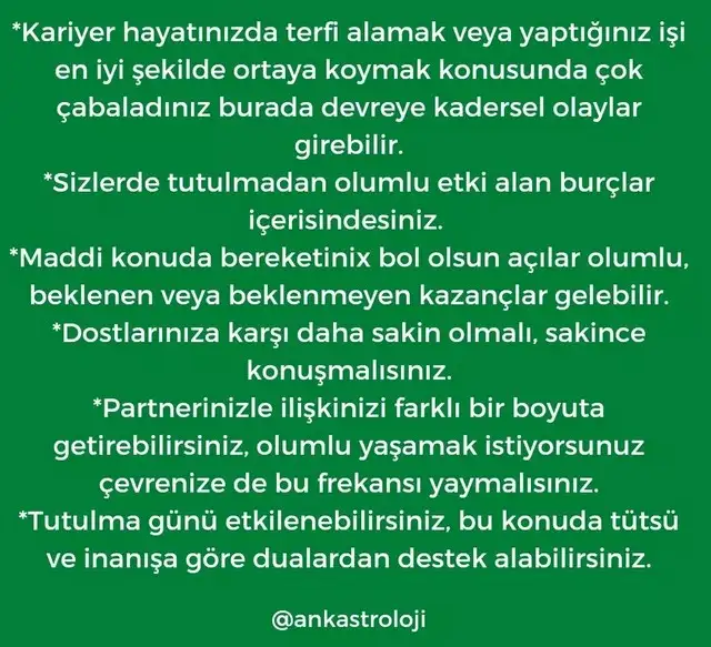 akrep2 (11).webp