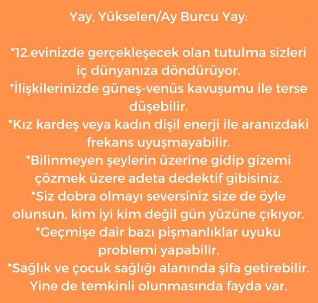 akrep2 (18).webp