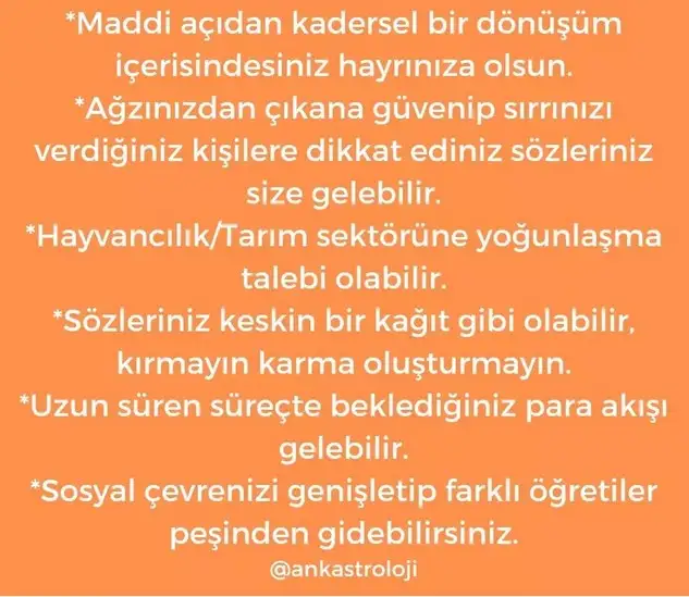 akrep2 (19).webp