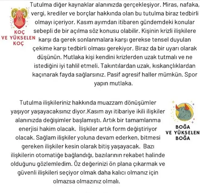 akrep2 (2).webp