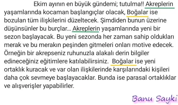 akrep2 (2).webp