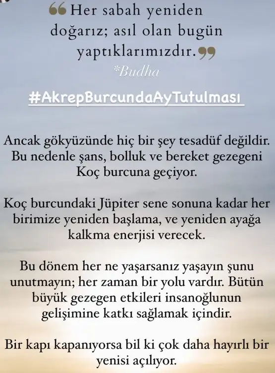 akrep2 (5).webp