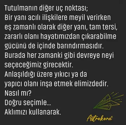 akrep20 (4).webp