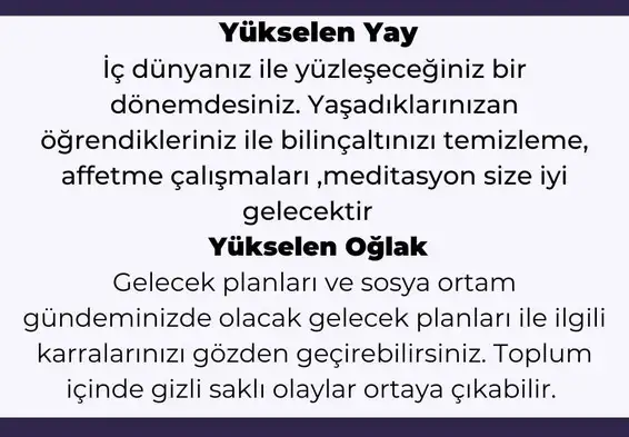 akrep21 (6).webp