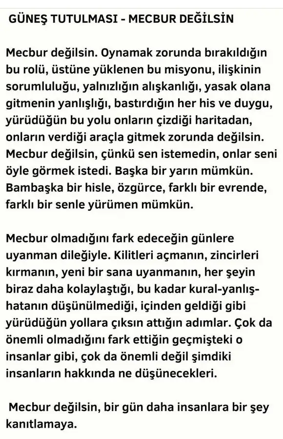 akrep24 (1).webp