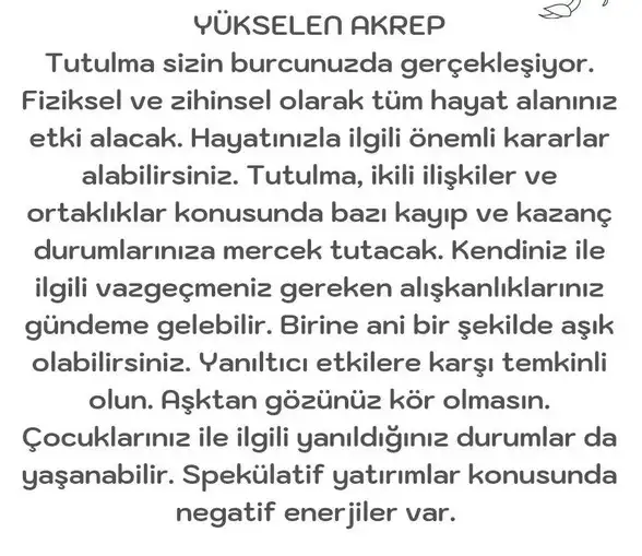 akrep24 (9).webp