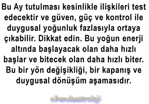 akrep28 (3).webp