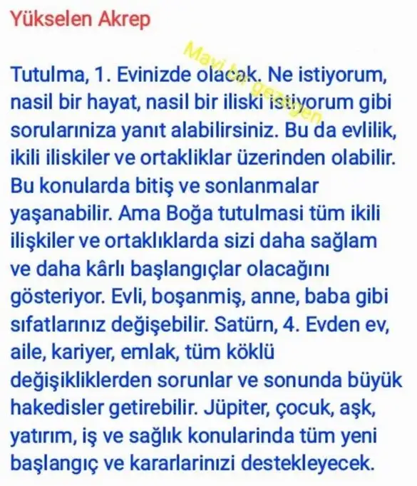 akrep3 (10).webp