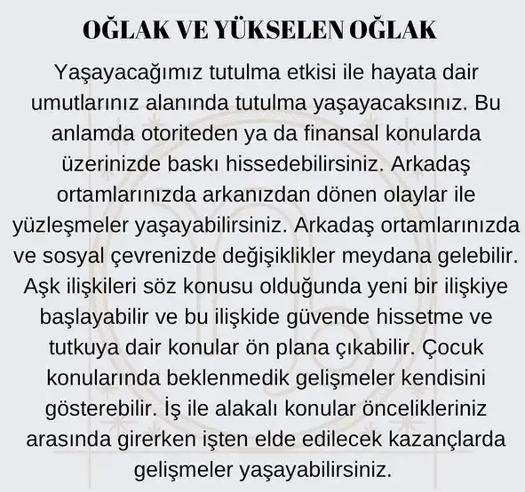 akrep3 (11).webp