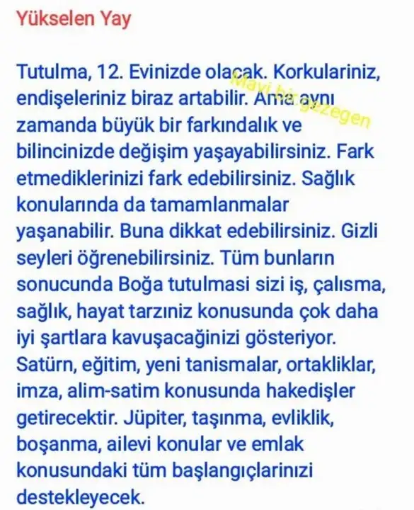 akrep3 (11).webp