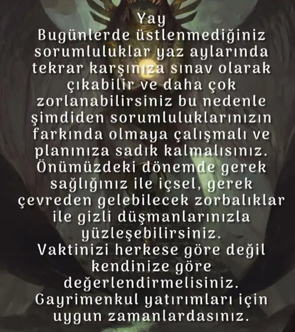 akrep3 (11).webp