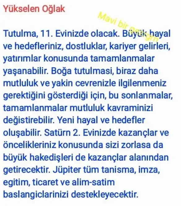 akrep3 (12).webp