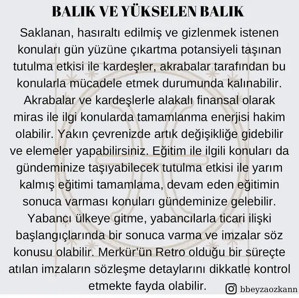 akrep3 (13).webp