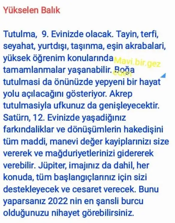 akrep3 (14).webp