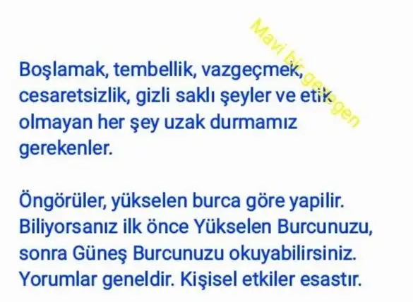 akrep3 (2).webp