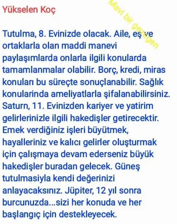 akrep3 (3).webp