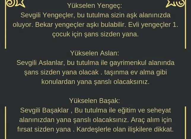 akrep3 (3).webp