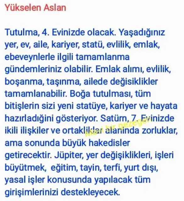 akrep3 (7).webp