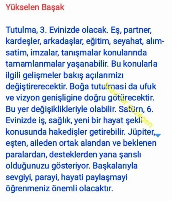 akrep3 (8).webp